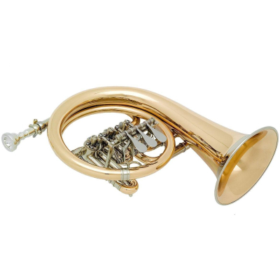 18930 fürst-Pless in B (Drehventile)