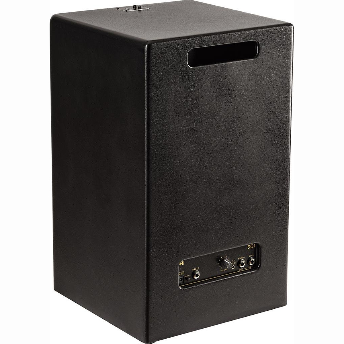 Digital Cajon Birke Schwarz
