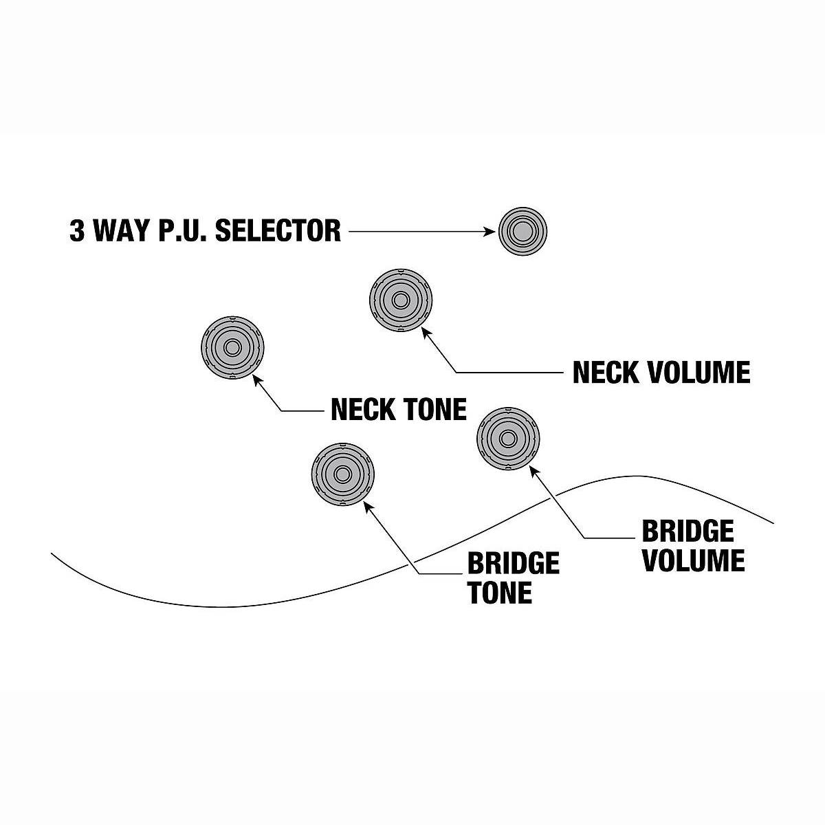 AS73-FM TIF Semi-Acoustic