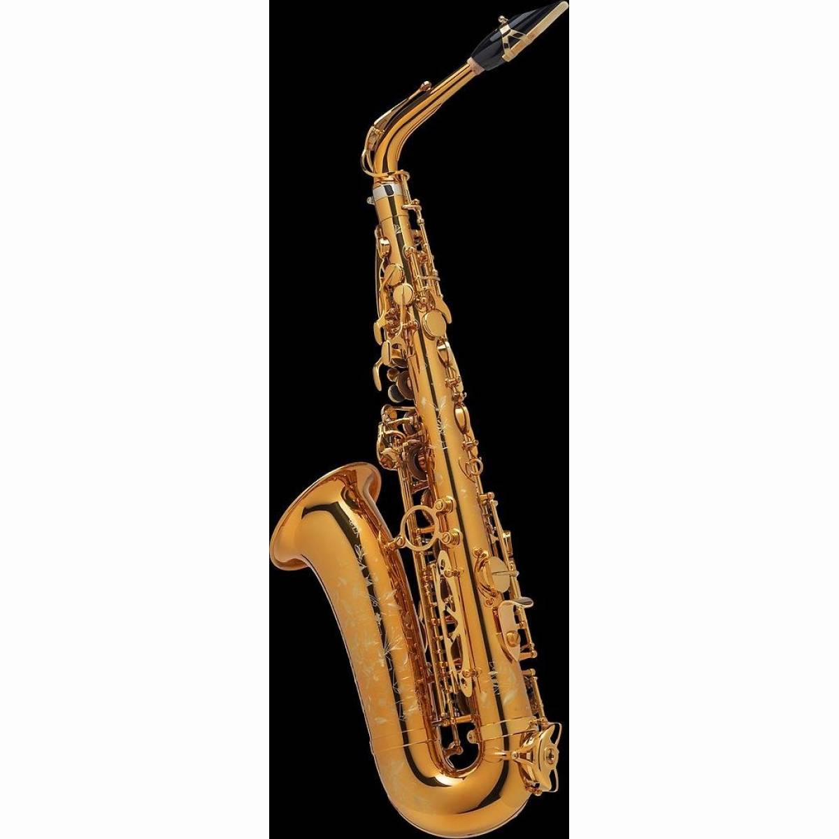 Altsaxophon Supreme dunkler Goldlack Altsaxophon Supreme dunkler Goldlack
