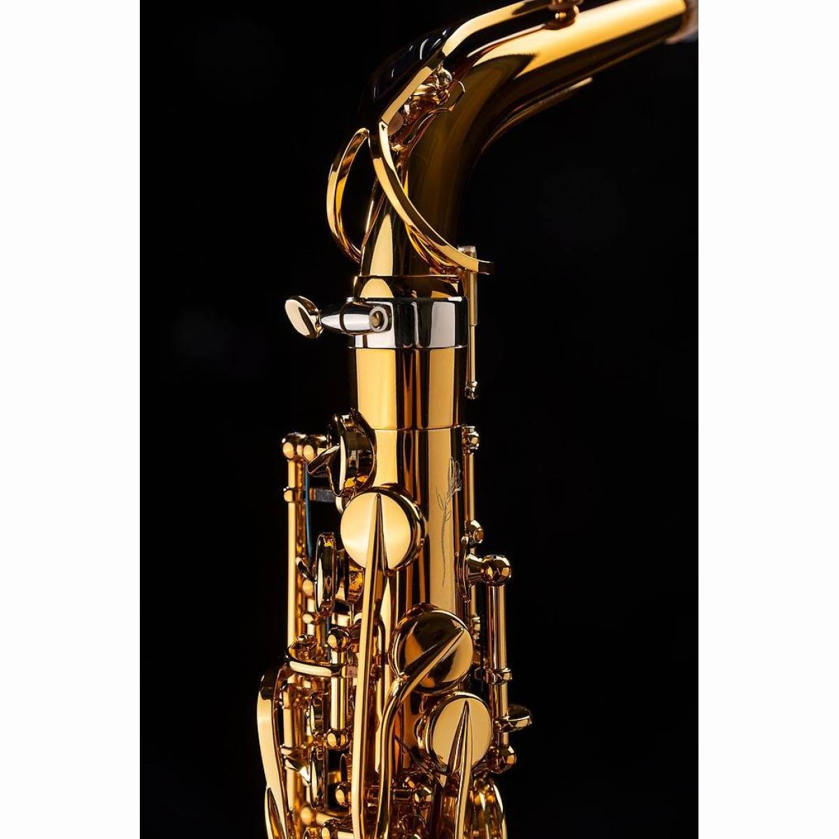 Altsaxophon Supreme dunkler Goldlack Altsaxophon Supreme dunkler Goldlack