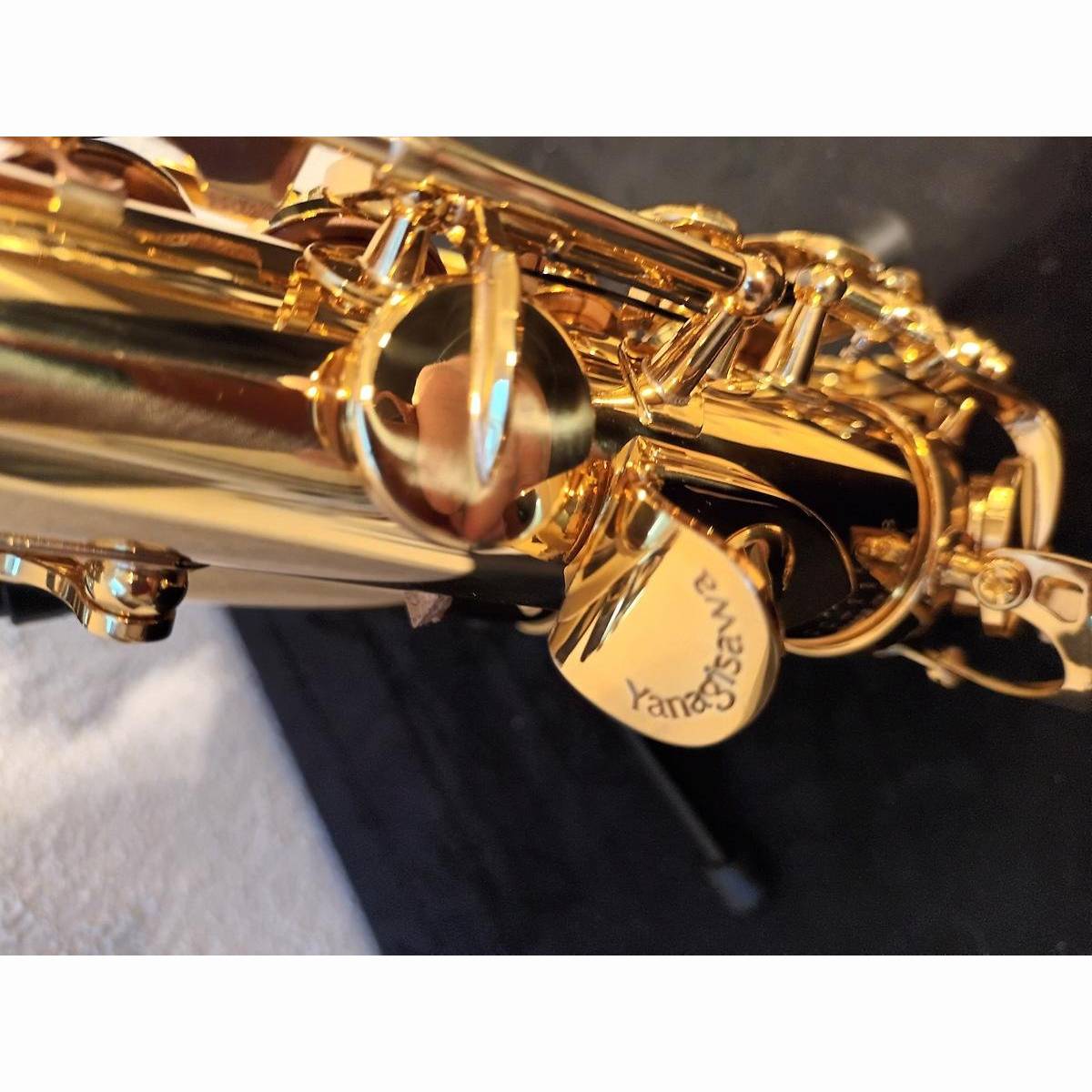 SC-W010 Sopran-Sax Elite CURVED SC-W010 Sopran-Sax Elite CURVED