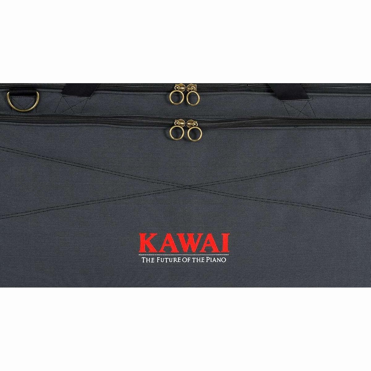 SC-1 Softcase für z.B: ES 920/520 SC-1 Softcase für z.B: ES 920/520