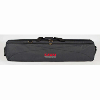 SC-2 Softcase füer z.B: ES 120 SC-2 Softcase füer z.B: ES 120