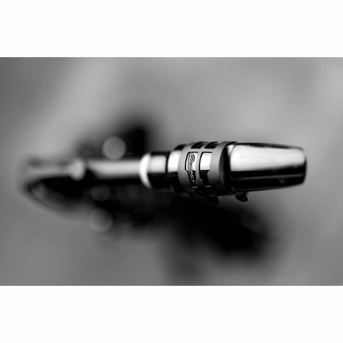 Altsaxophon Altsaxophon