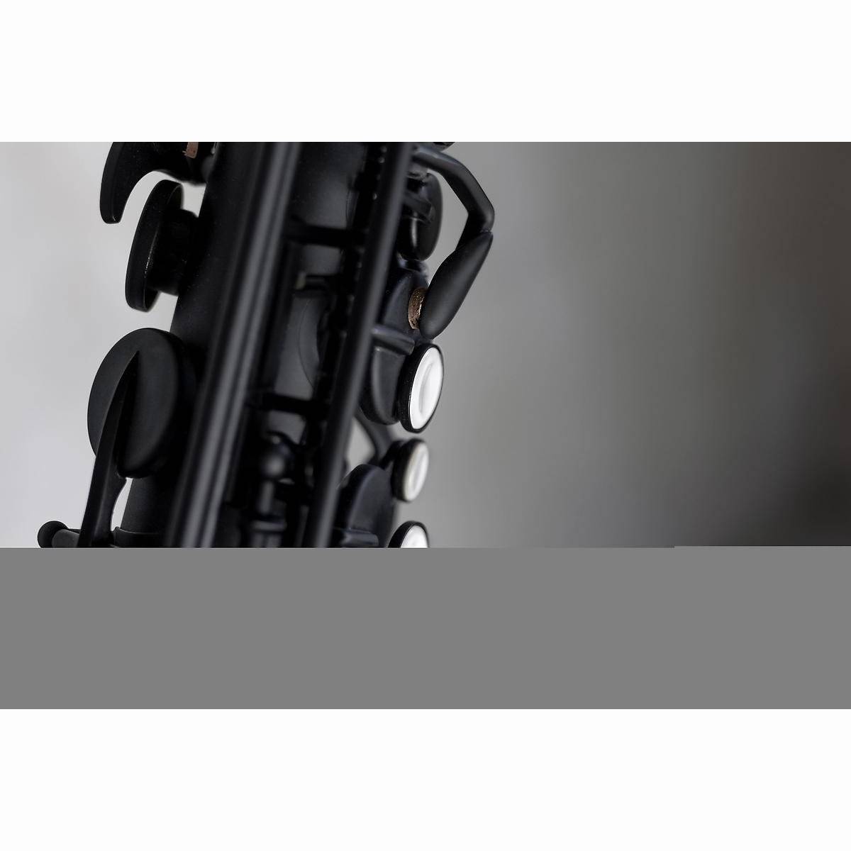 Altsaxophon Altsaxophon