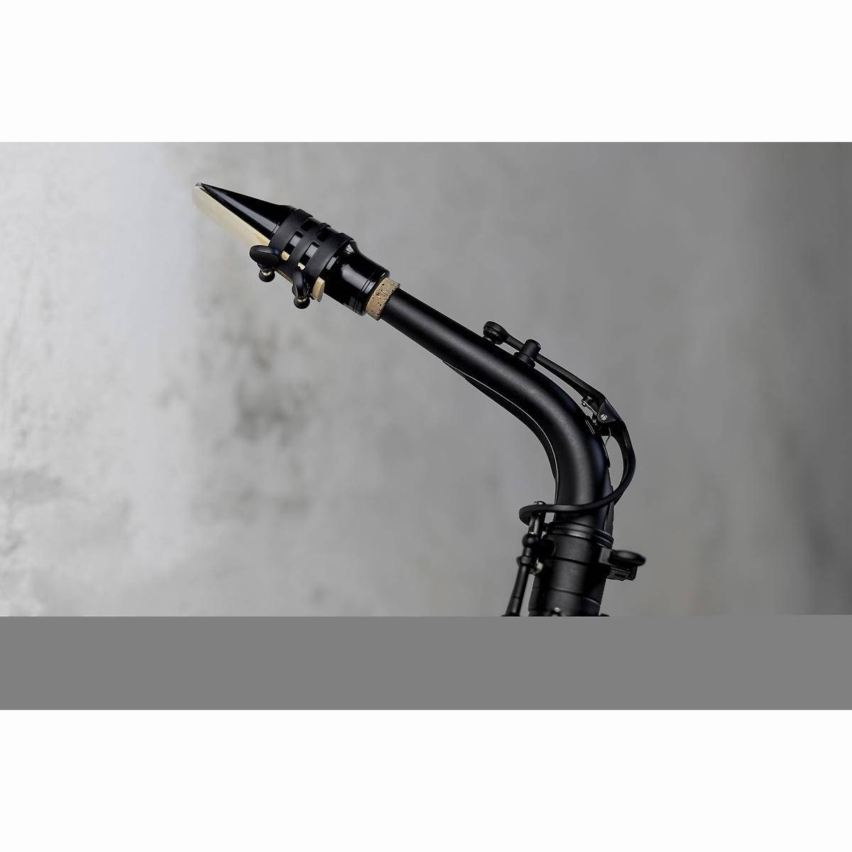 Altsaxophon Altsaxophon