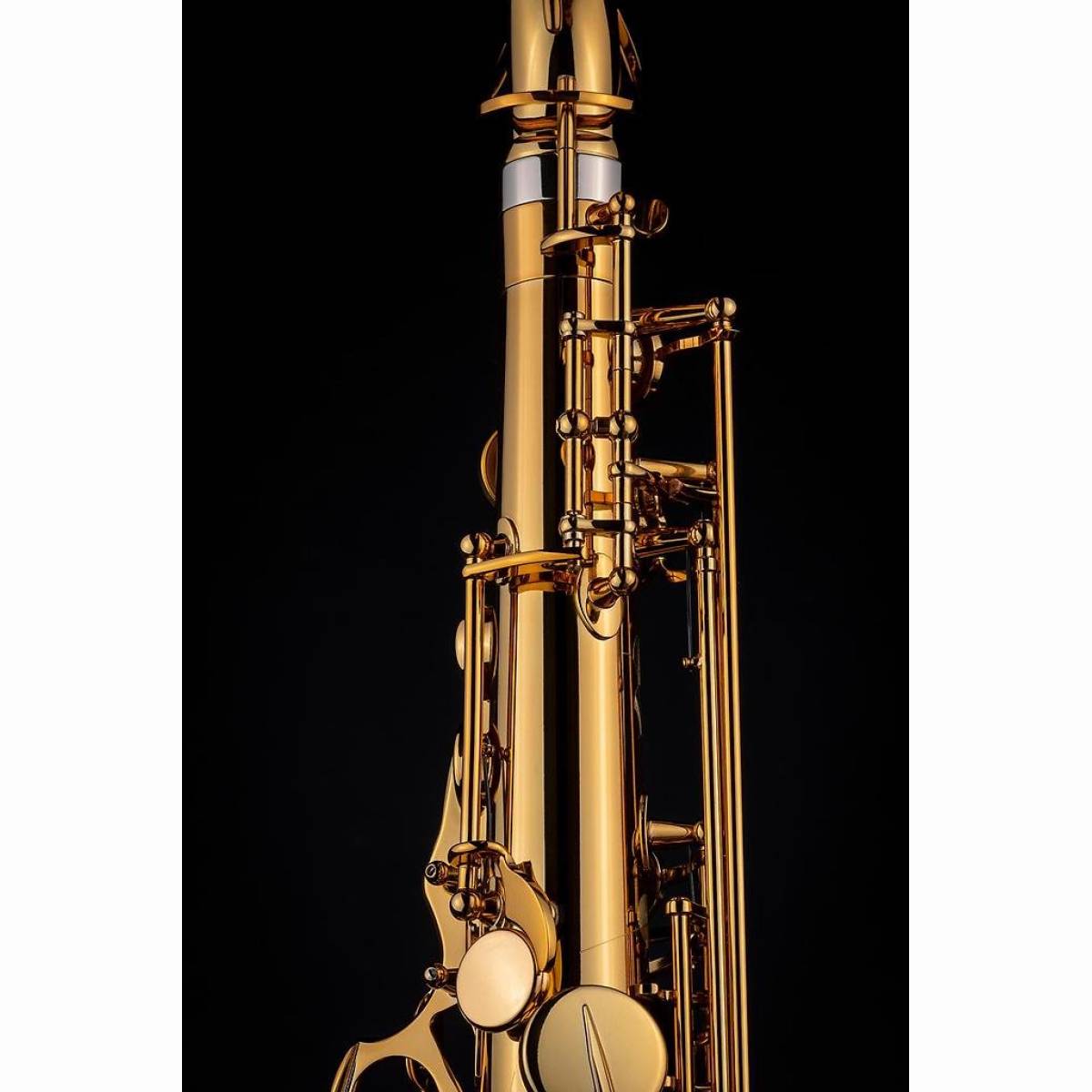 Tenor-Sax SIGNATURE, dunkler Goldlack