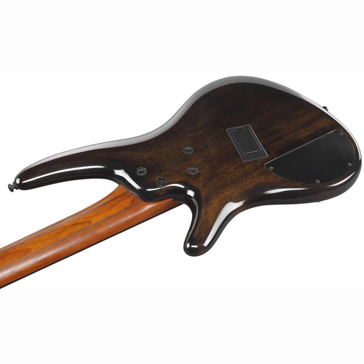 SRMS805-TSR E-Bass Multi Scale SRMS805-TSR E-Bass Multi Scale