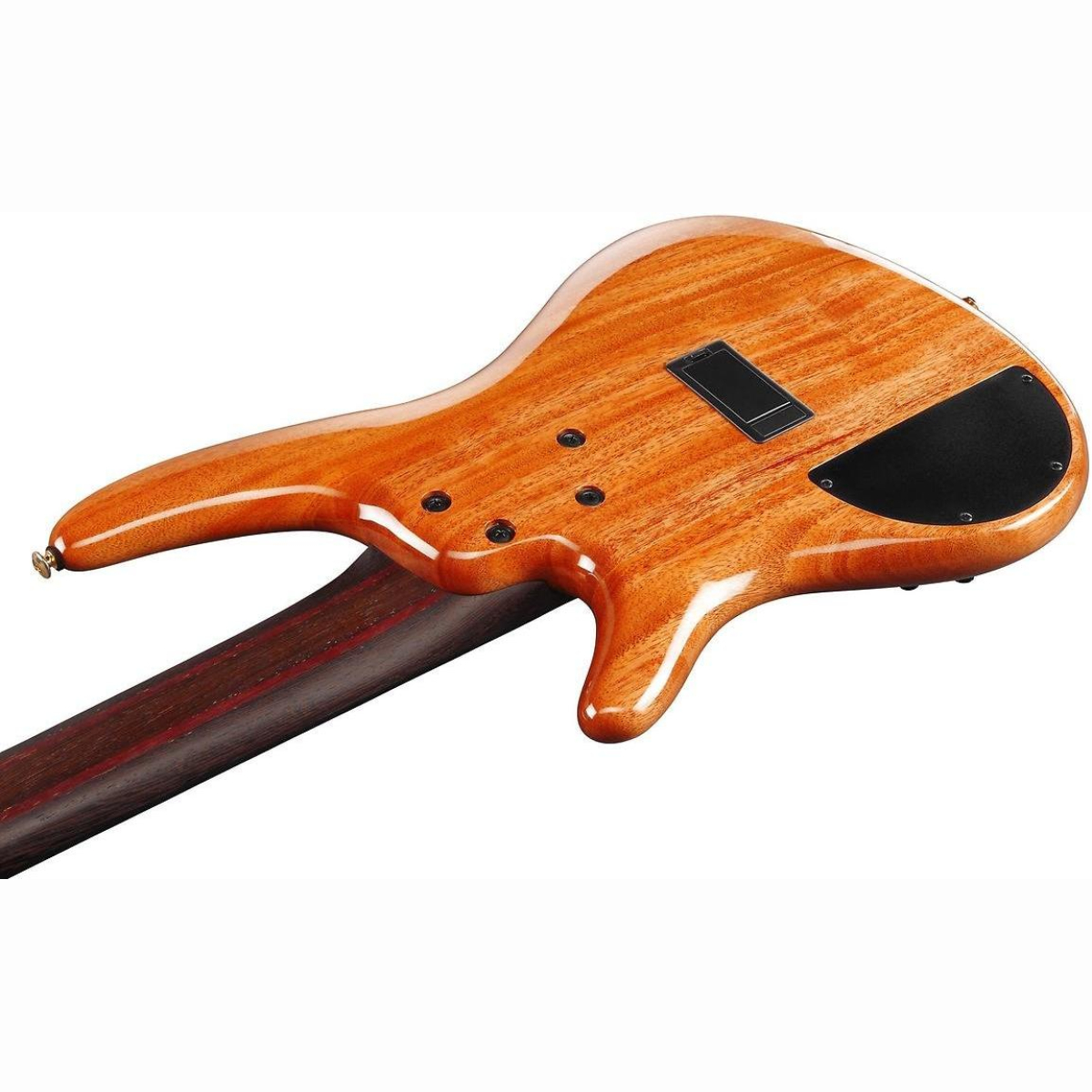 SR1605DW-ASK E-Bass 5 Saiter