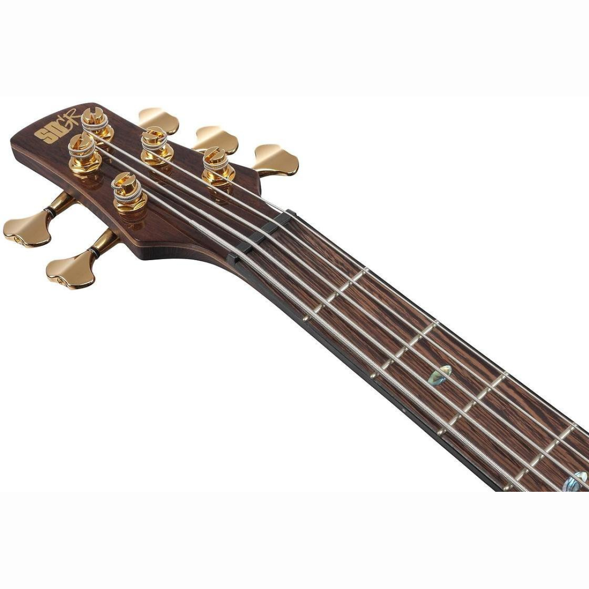 SR1605DW-ASK E-Bass 5 Saiter