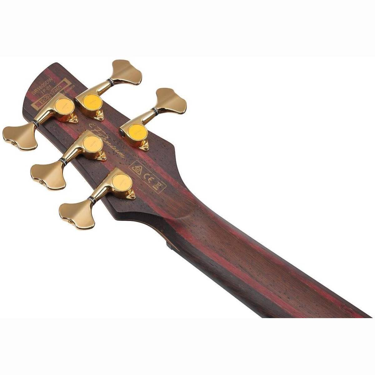 SR1605DW-ASK E-Bass 5 Saiter