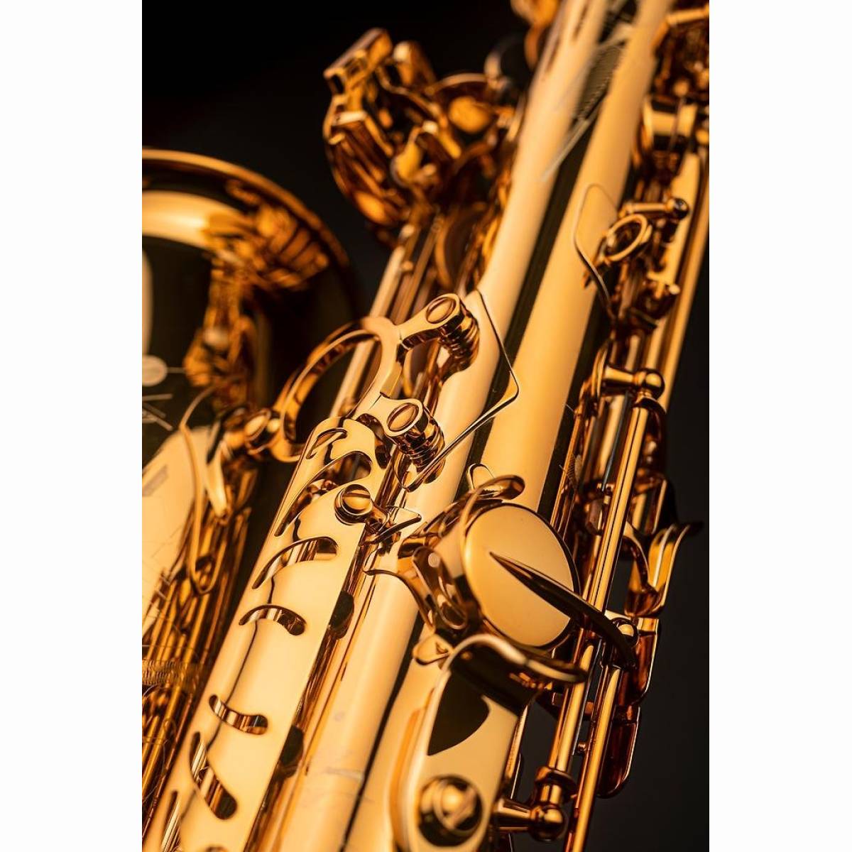 Altsaxophon SIGNATURE, Goldlack Altsaxophon SIGNATURE, Goldlack