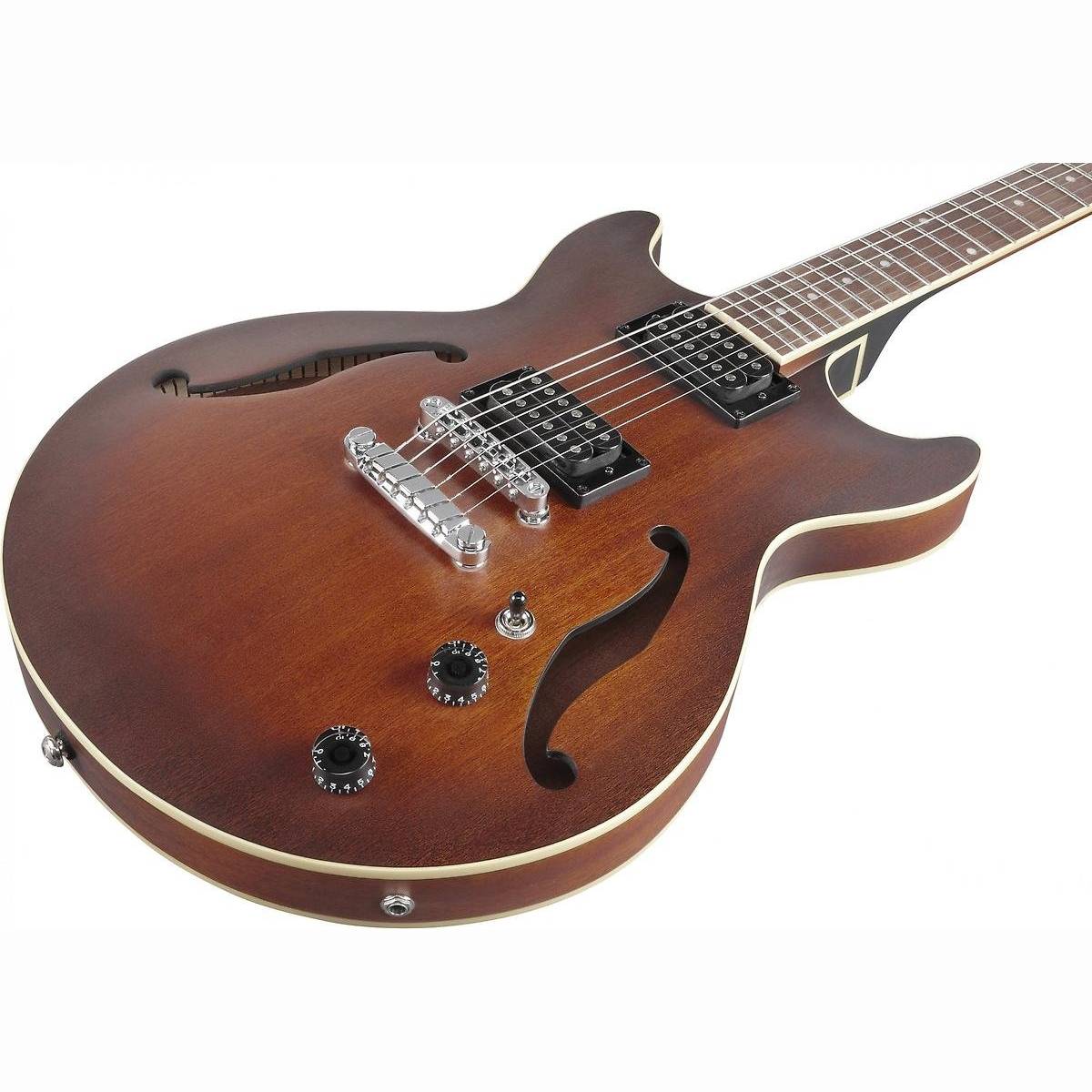 AM53-TF E-Gitarre Hollobody