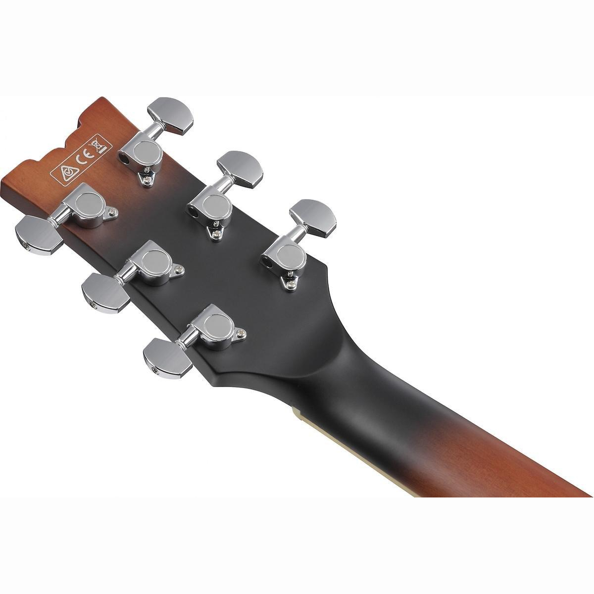 AM53-TF E-Gitarre Hollobody