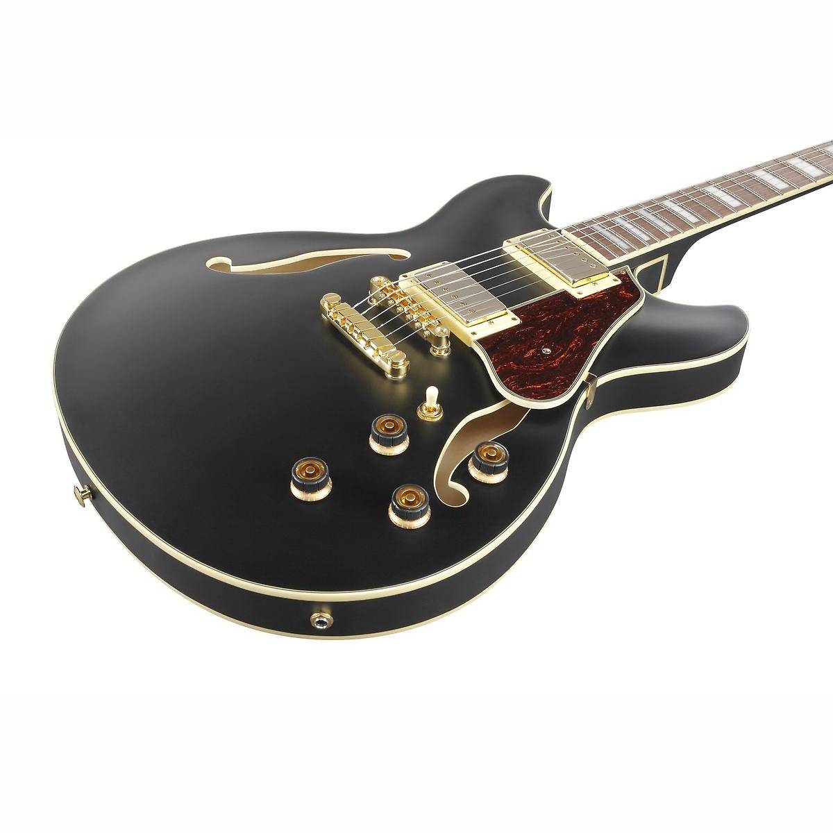 AS73G-BKF E-Gitarre Hollowbody