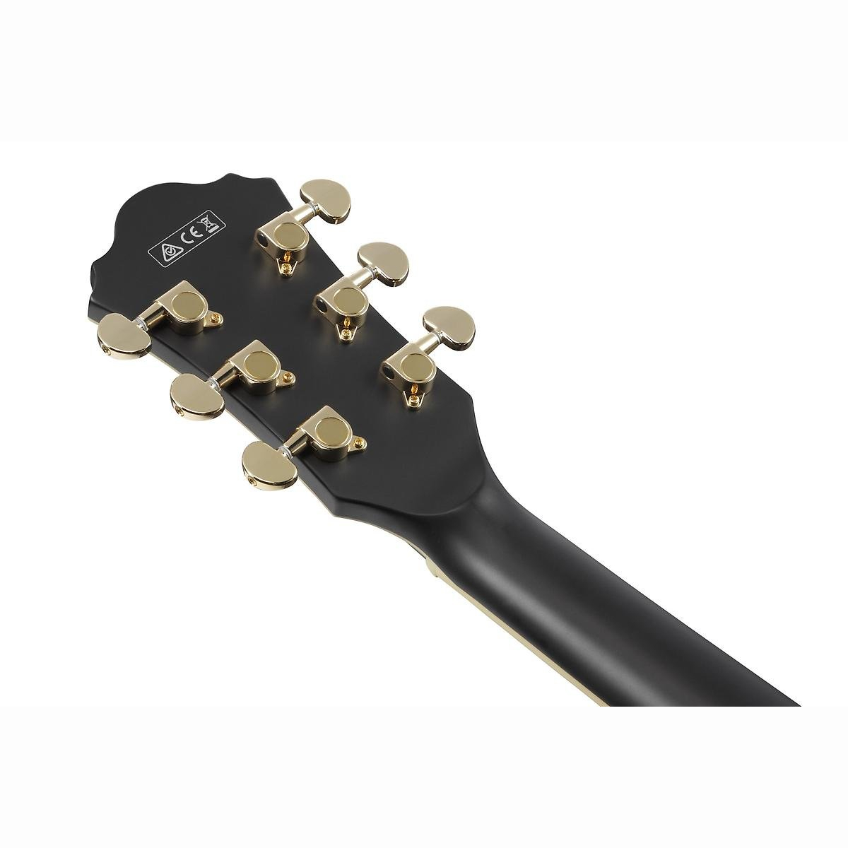 AS73G-BKF E-Gitarre Hollowbody