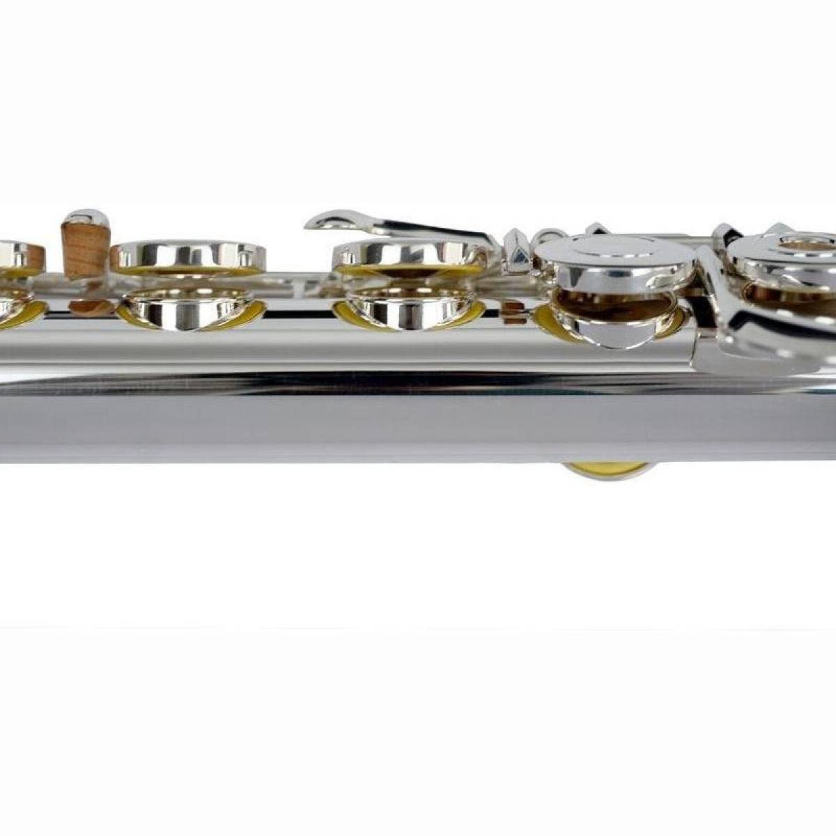 TFL-07L-SI Qfl. RK Volls. Mundlochpl. TFL-07L-SI Qfl. RK Volls. Mundlochpl.