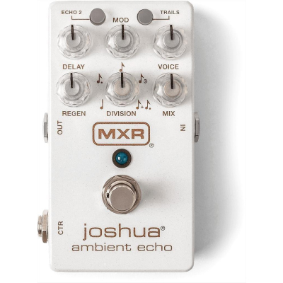 - M 309 Joshua Ambient Delay Pedal