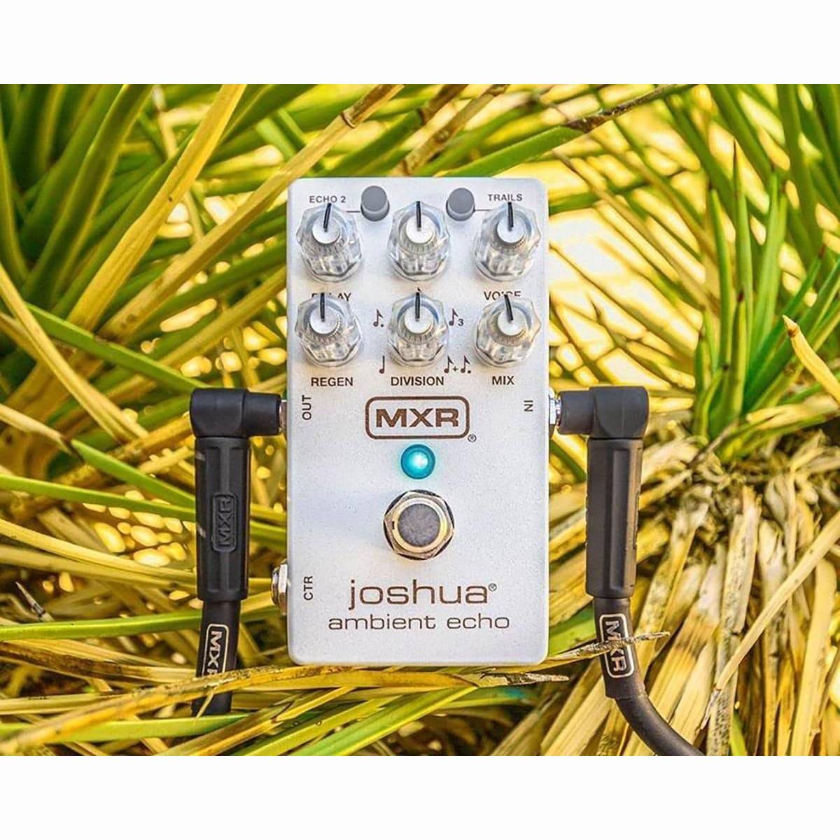 - M 309 Joshua Ambient Delay Pedal - M 309 Joshua Ambient Delay Pedal