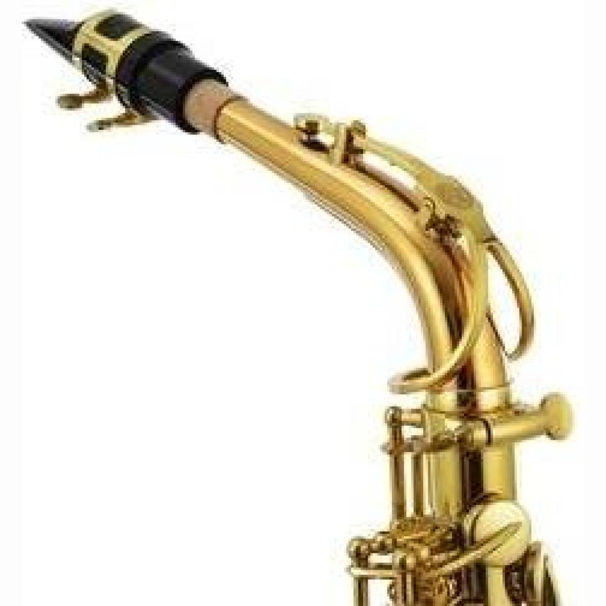 JASSTRQ Stellar Altsaxophon Special Ed. JASSTRQ Stellar Altsaxophon Special Ed.