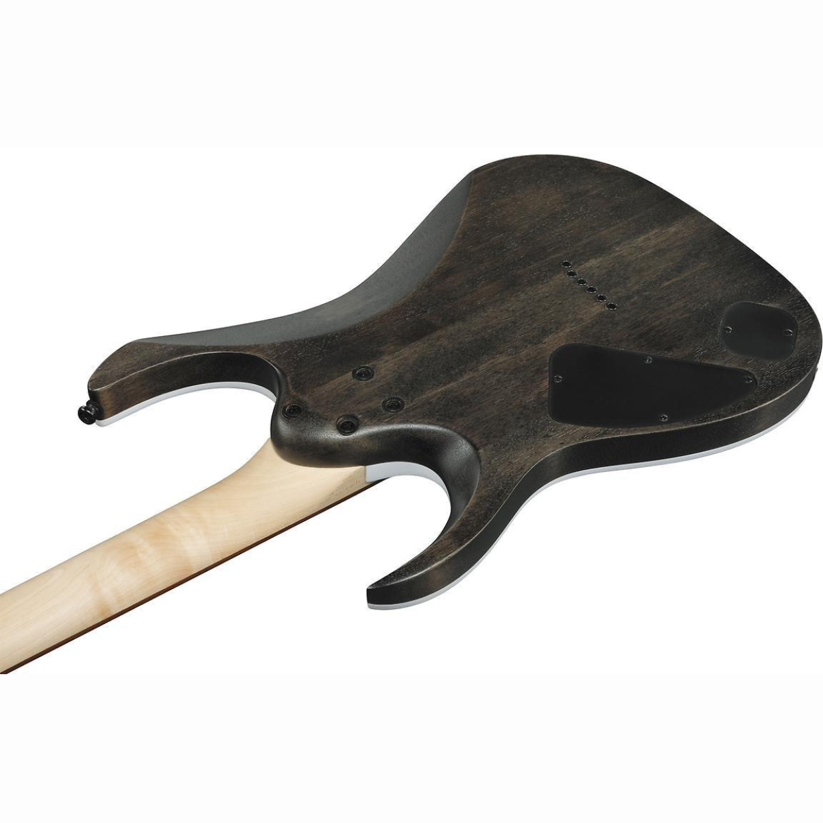 RGA42AH-BKS Black Stained E-Gitarre