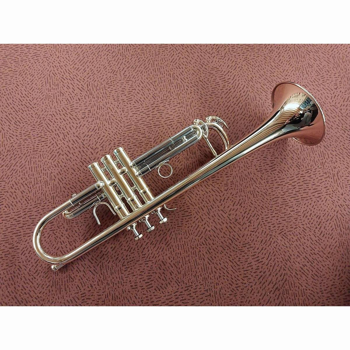 Trompete Schagerl Las Vegas Lack M Etui Trompete Schagerl Las Vegas Lack M Etui