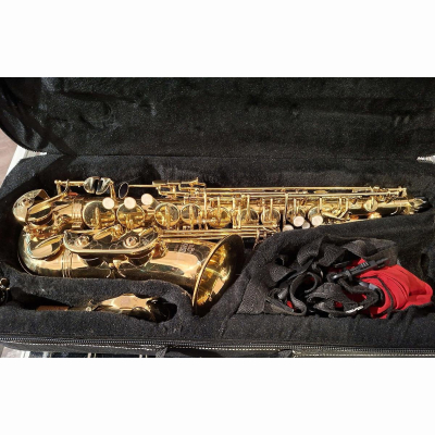 Sax./Alt Roy Benson kindgerecht m. Koffer