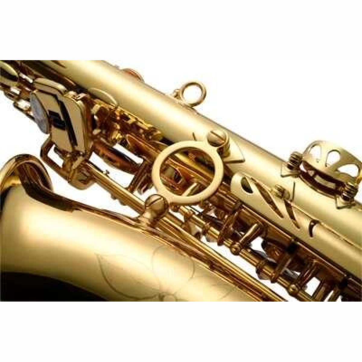 JAS1150Q Altsaxophon Goldlack