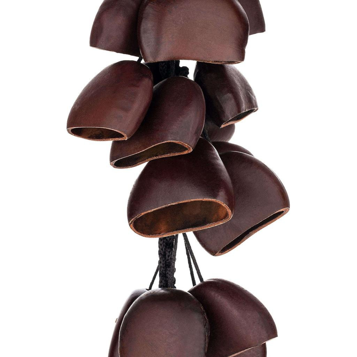 BI5 Bird Natur BI5 Bird Natur