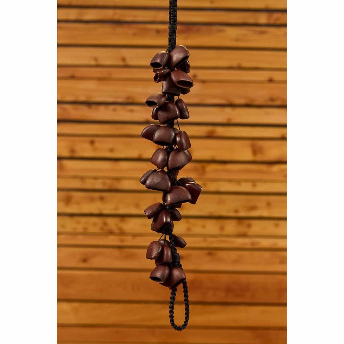 BI5 Bird Natur BI5 Bird Natur