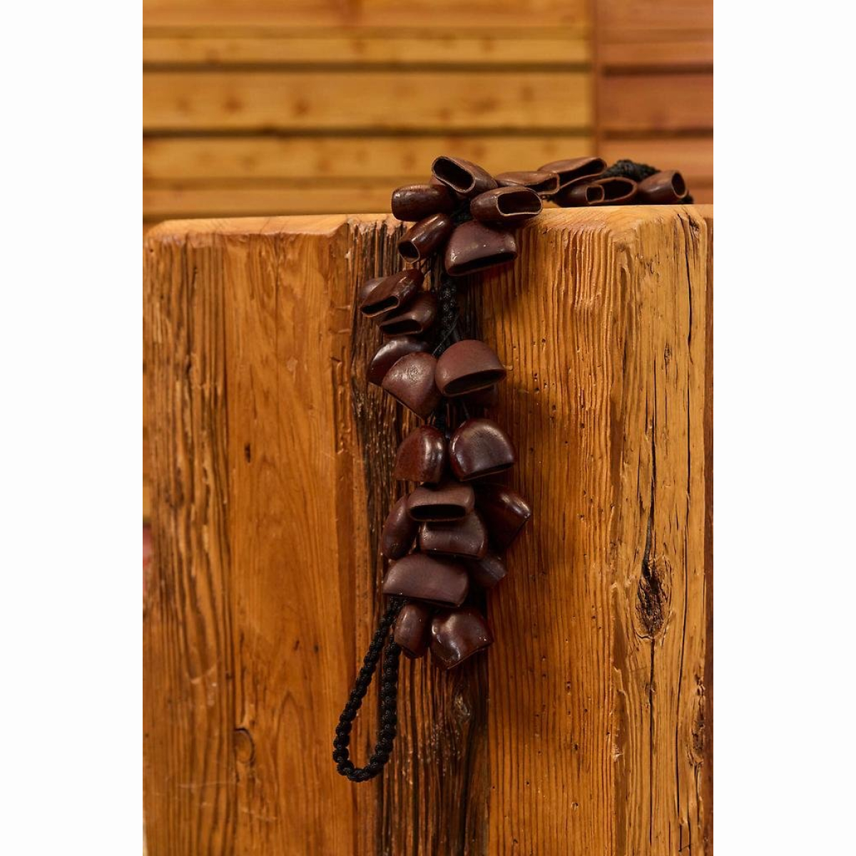 BI5 Bird Natur BI5 Bird Natur