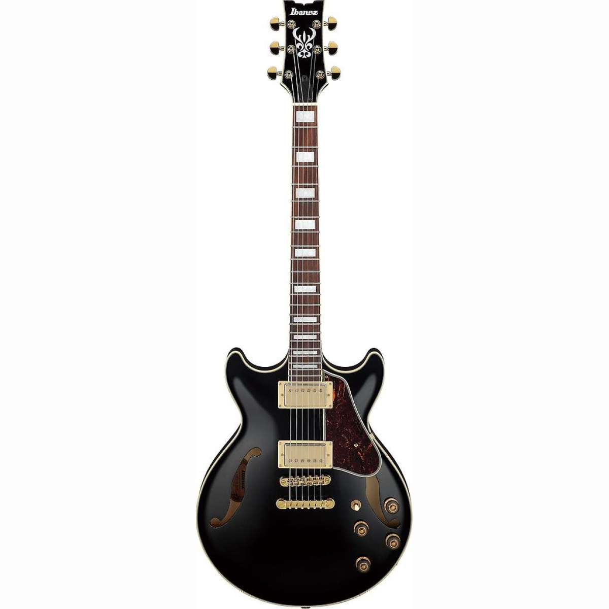 AM73G-BK E-Gitarre Hollobody