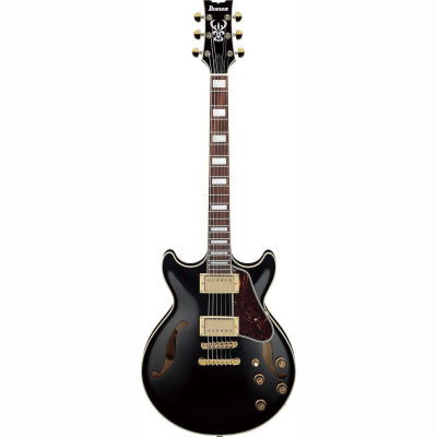 AM73G-BK E-Gitarre Hollobody