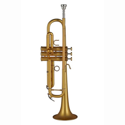 TR172M Trompete Vision Matt Lack + Etui