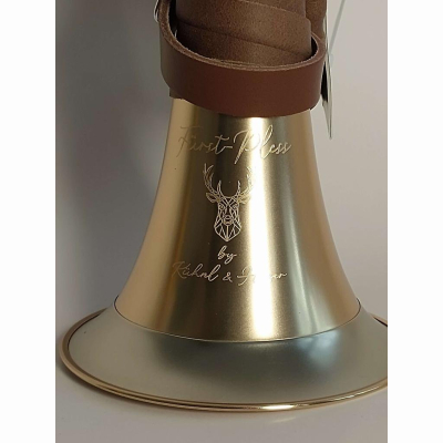 fürst-Pless 1304G 