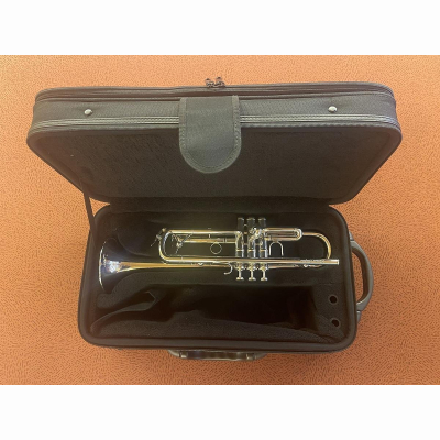 Trompete Schagerl Empire Silber mit Etui
