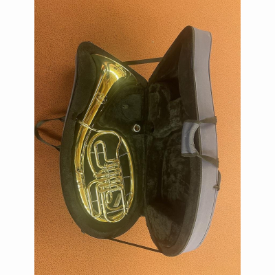 Tenorhorn B+S 33/2L 4-Vent MS M Koffer